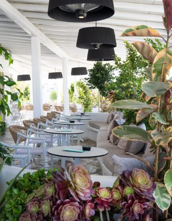 Beauty Café Mykonos