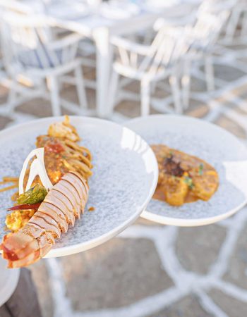 Barbarossa World | Gastronomy & Hospitality Brand