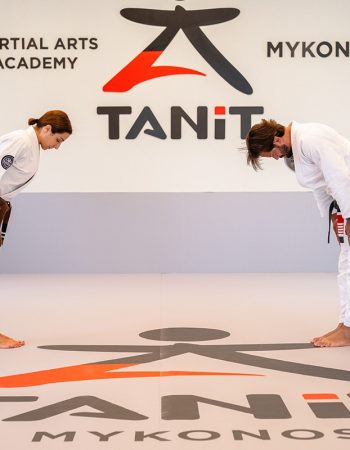 Tanit Academy – Mykonos