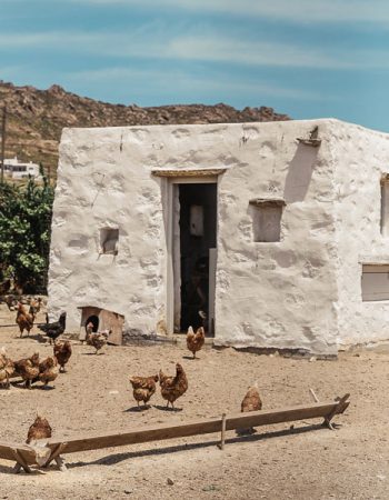Rizes Folklore Farmstead